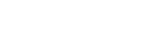 fleet size fleet size